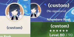 Nickname Display