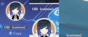 UID Display